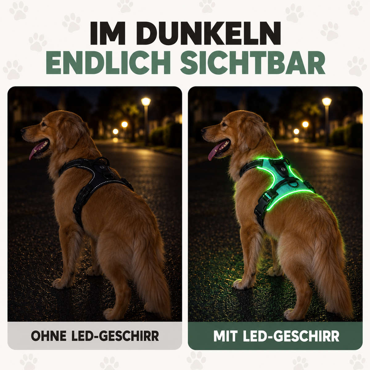 LeuchtHeld Anti-Zieh Geschirr