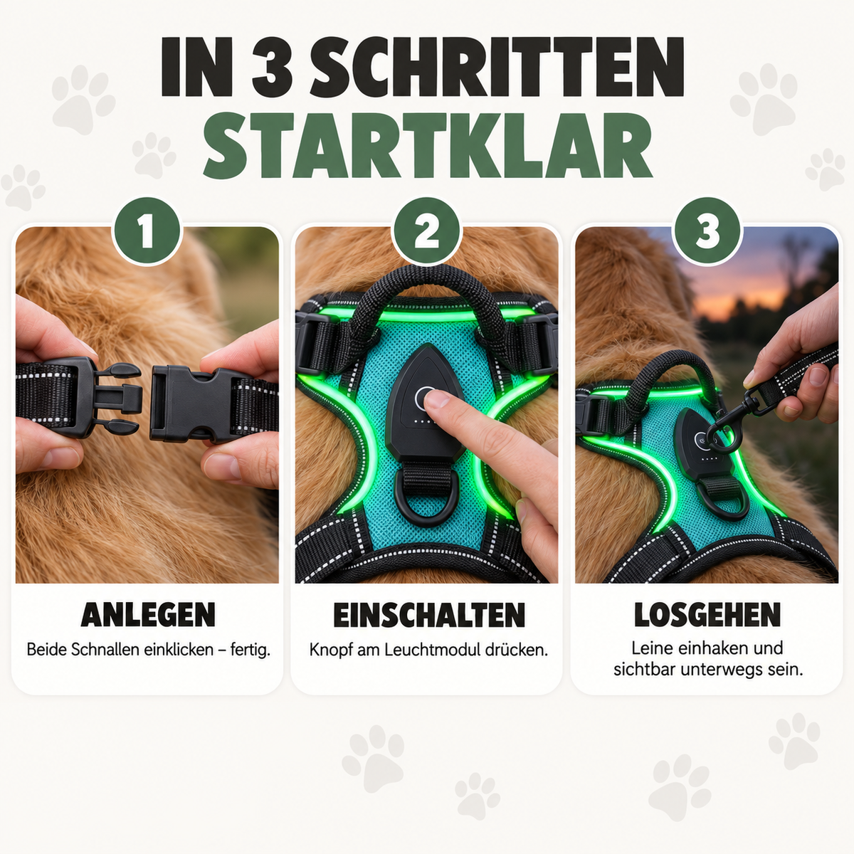 LeuchtHeld Anti-Zieh Geschirr