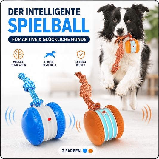 FlitzBall - Interaktiver Spielball